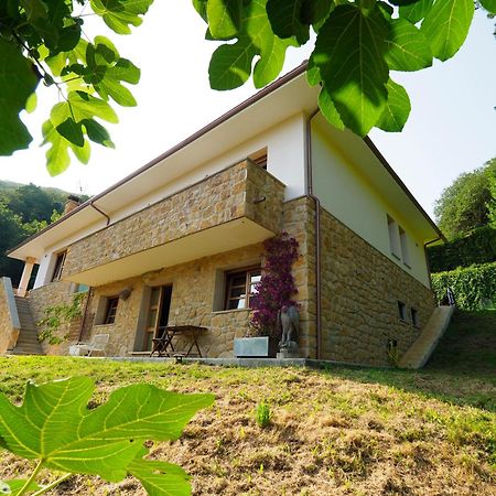 Loft 80 Mts En Un Entorno Natural. ミエレス エクステリア 写真