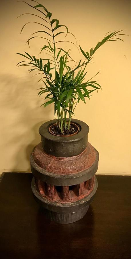 Loft 80 Mts En Un Entorno Natural. ミエレス エクステリア 写真